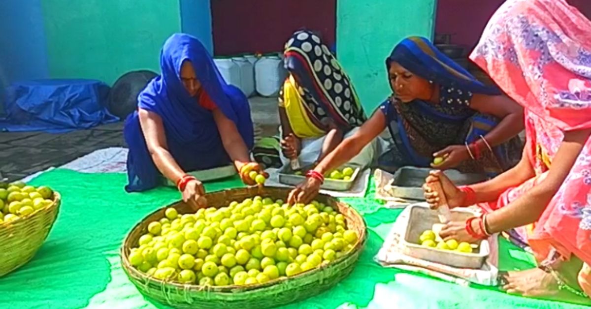 Women making Marmalade (amla Murabba) in Panna, Madhya Pradesh