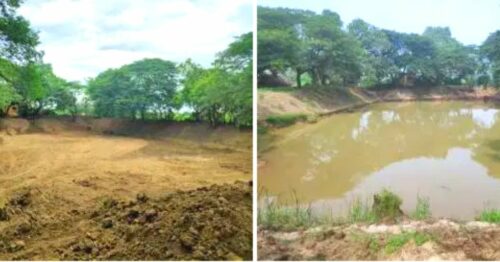 Can an App Save 198 Lakes & Ponds? Meet the IAS Officer Showing How It’s Done