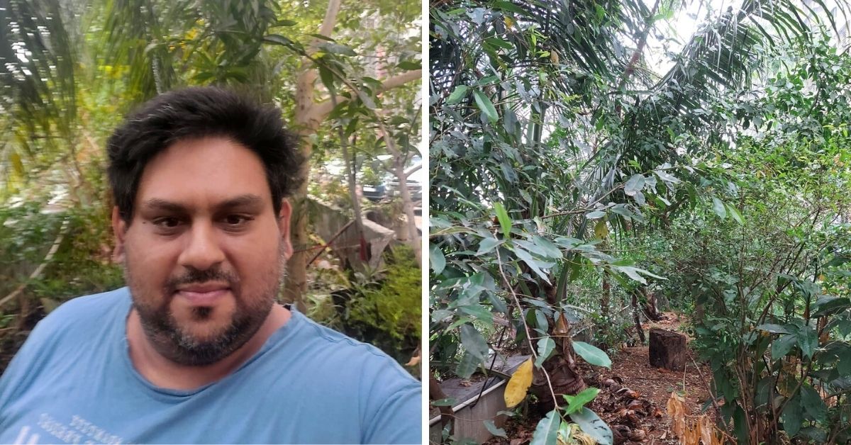 In the Middle of Mumbai, This Hero Has Grown 10 Food Forests in 6 Years