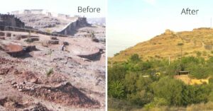 In 34 Years, A Teacher Has Planted 50000 Trees To Turn Barren Land Into Green Oasis