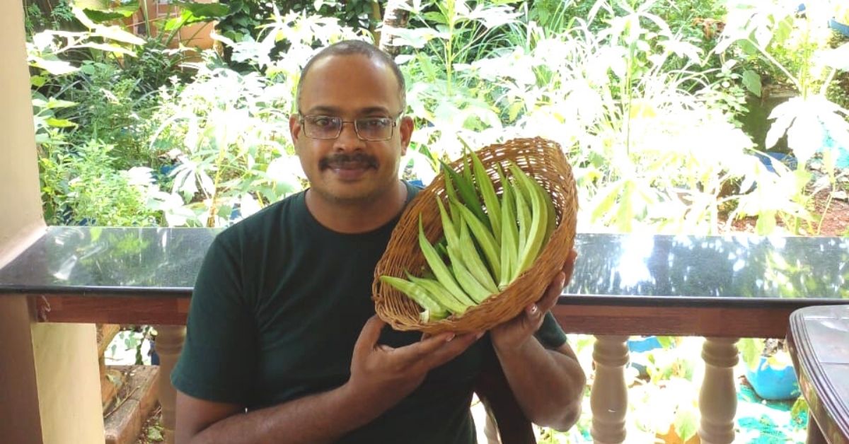 How to Grow Organic Okra in Recycled Pots: Karnataka Professor Shares Easy Steps