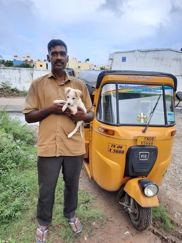 Baskar N, the autorickshaw driver who rescues stray animals.