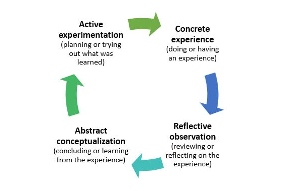 Kolbs cycle