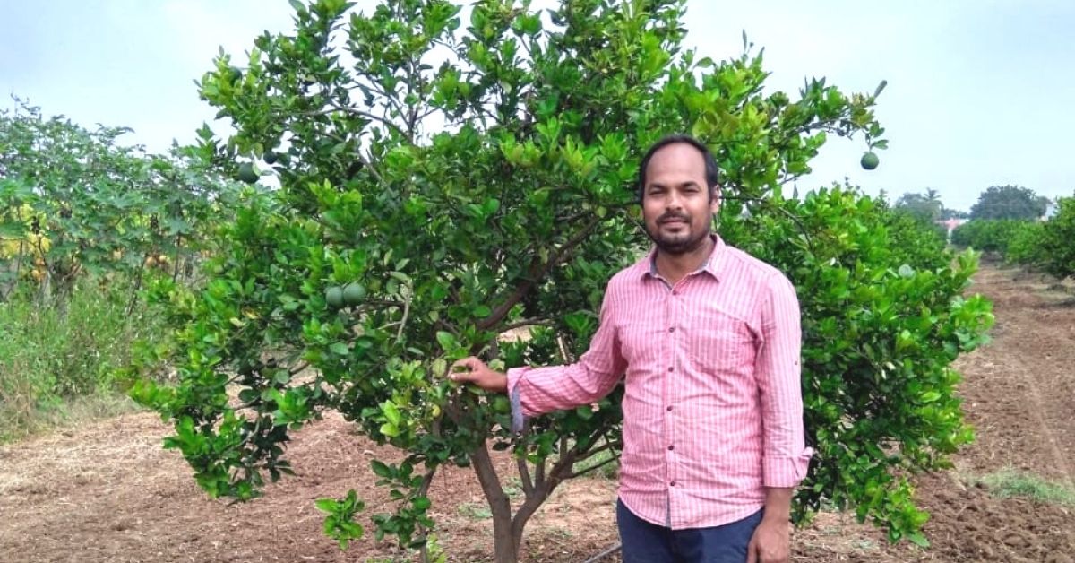 Quitting an IT Job, Techie Ropes in 150 Farmers To Set up a Firm Worth Rs 1 Crore