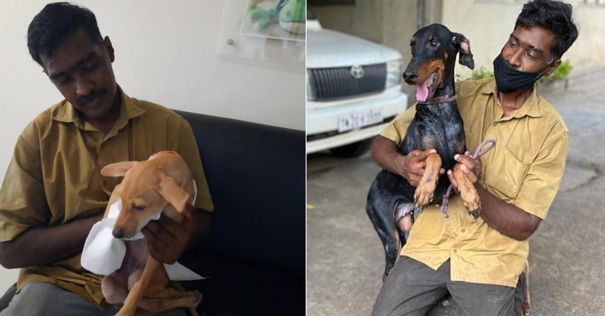 Baskar rescuing stray dogs in Chennai 