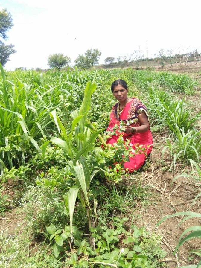 Santoshi Survase in her farm (2)