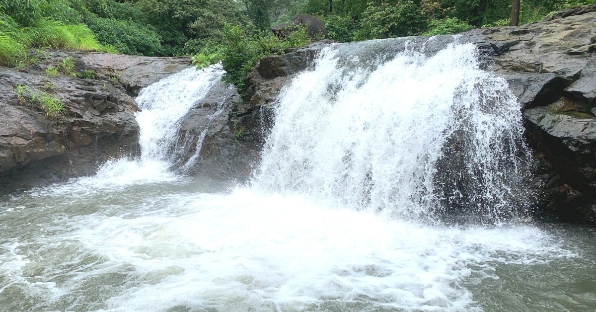 Waterfall Banyan Bliss
