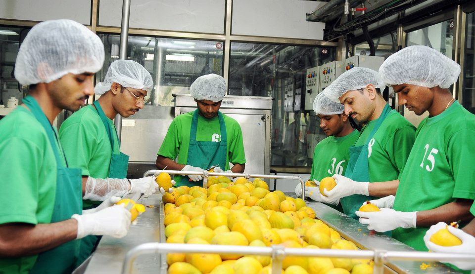 Staff of Naturals doing a quality check