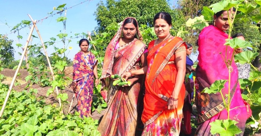 How 1,38,000 Women Farmers In Drought-Prone Marathwada Doubled Their Incomes