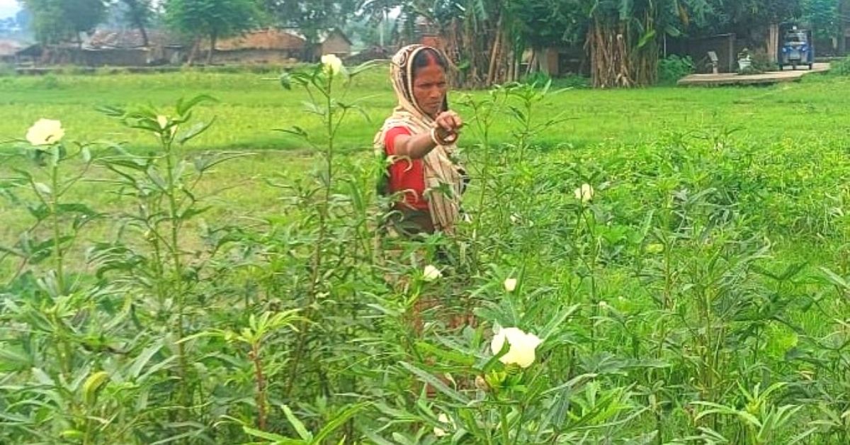 A woman in Marathwada tending to her farm