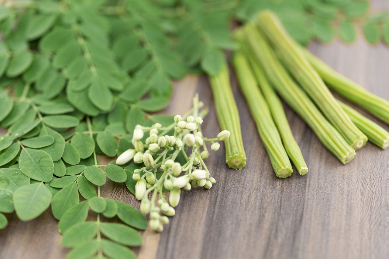 Moringa leaves for high BP