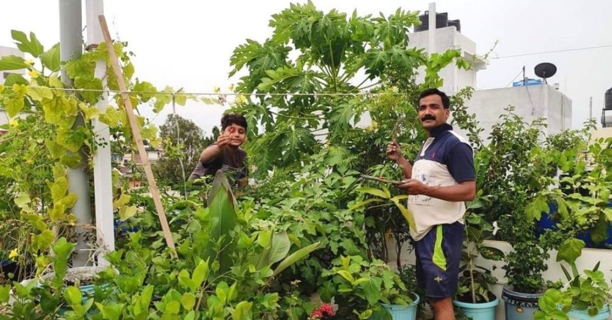 man stands next to urban garden with green vegetables