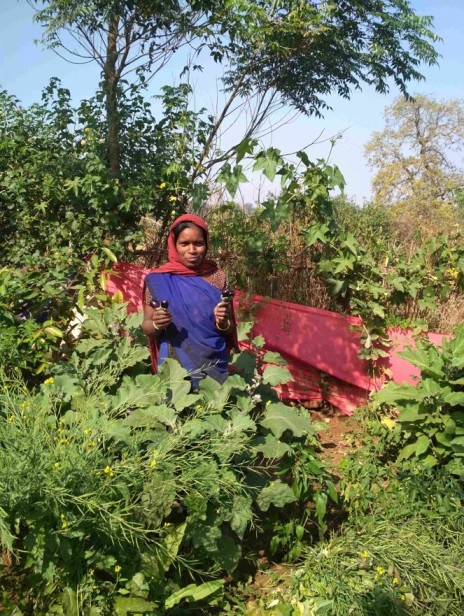 Women in Nutrition Farming- Poshan Vatika