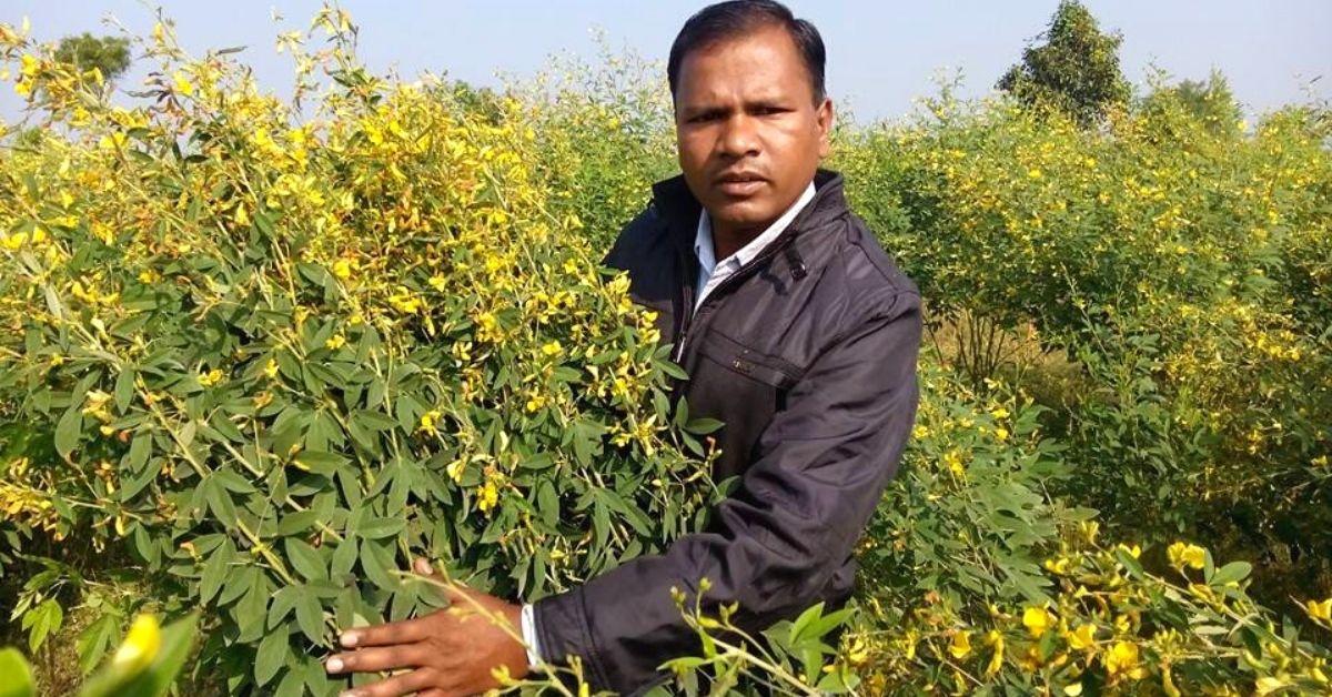 Farmer Inspires 2000 to go Chemical-Free, Earns Rs 40 Lakh by Growing Organic Crop