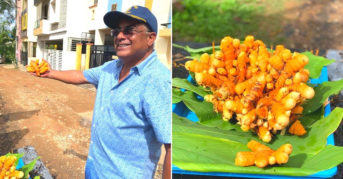 Ex-Navy Man Uses Hydroponics to Start a Turmeric Revolution in Grow Bags, Gets 8 Times Higher Yield