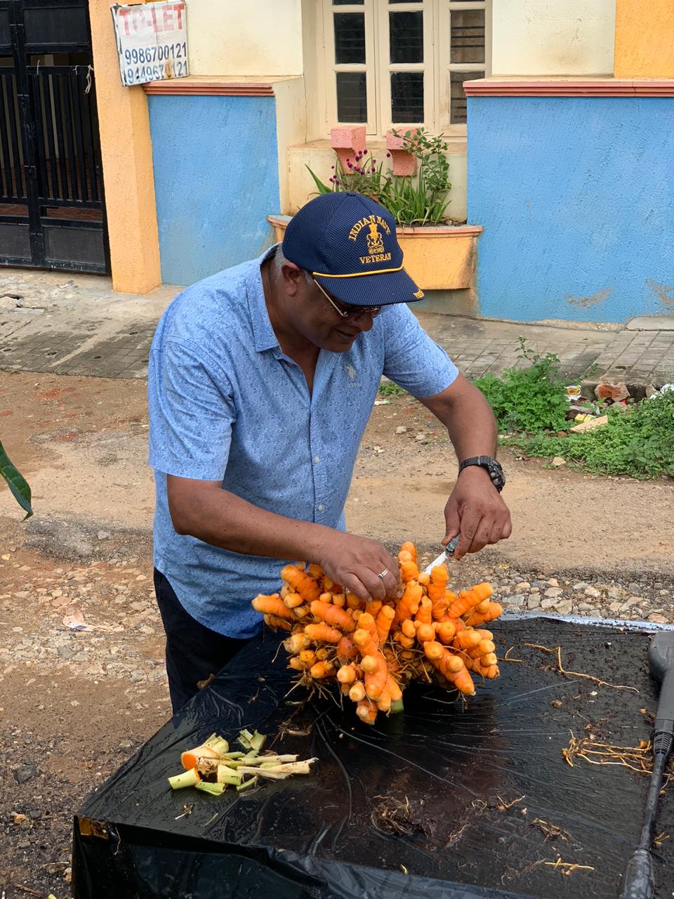 Turmeric