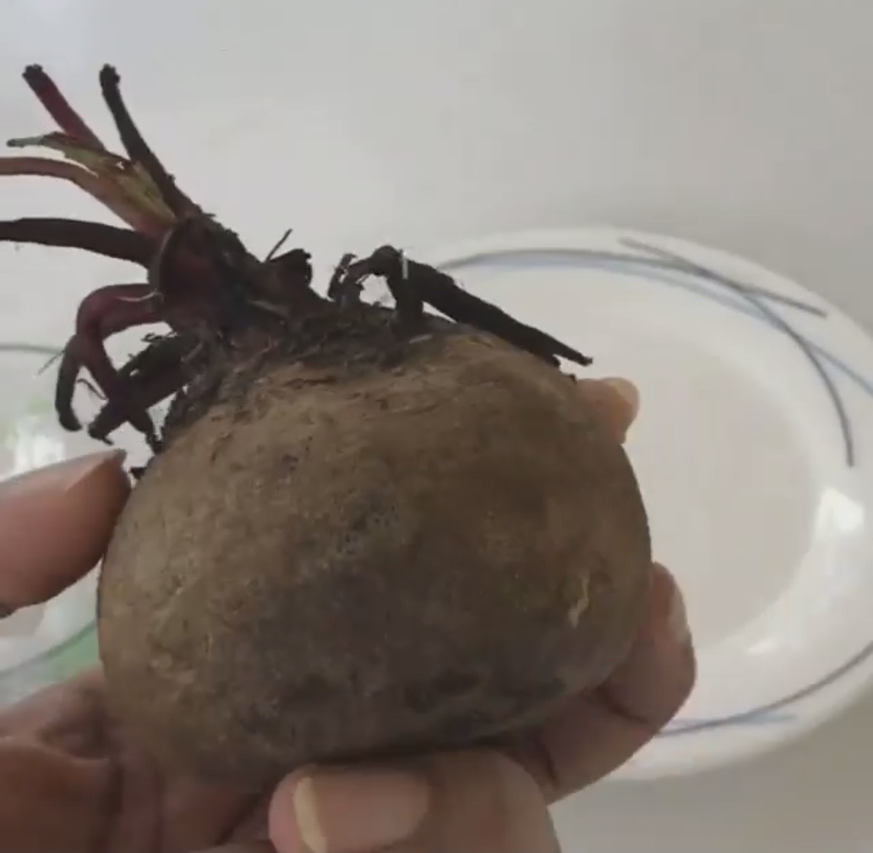 Take a store-bought beetroot and remove the dry leaves from the top to grow beetroot at home