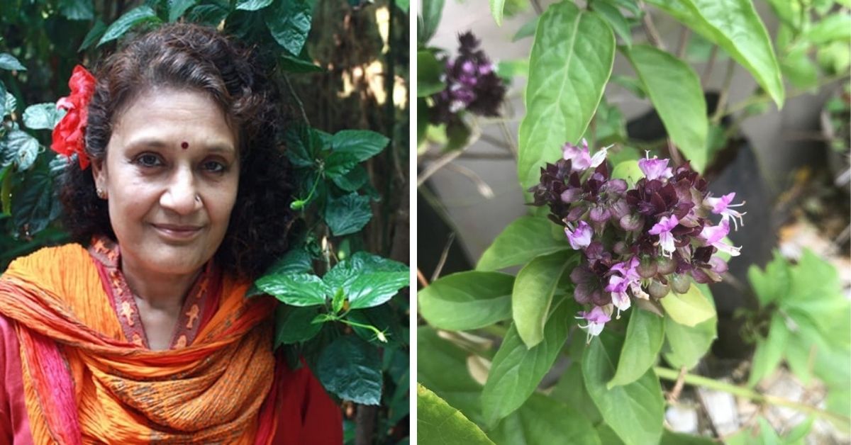 urban garden edible flowers