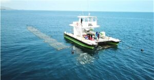 IIT Madras Alumni Turn Seaweed Into Innovative Biofuel, Raise $9 Million in Funding