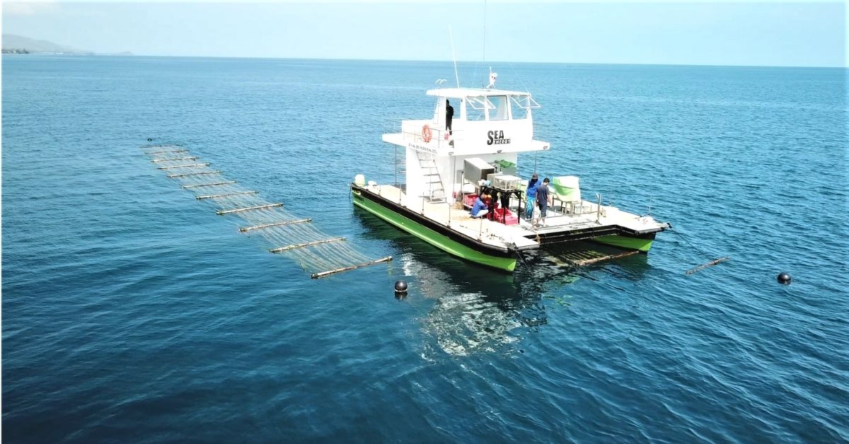 IIT Madras Alumni Turn Seaweed Into Innovative Biofuel, Raise $9 Million in Funding