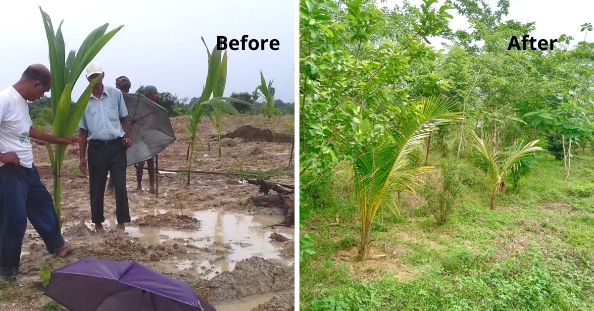 16 Years of Tireless Efforts By Teacher Turn 13 Barren Hillocks Green