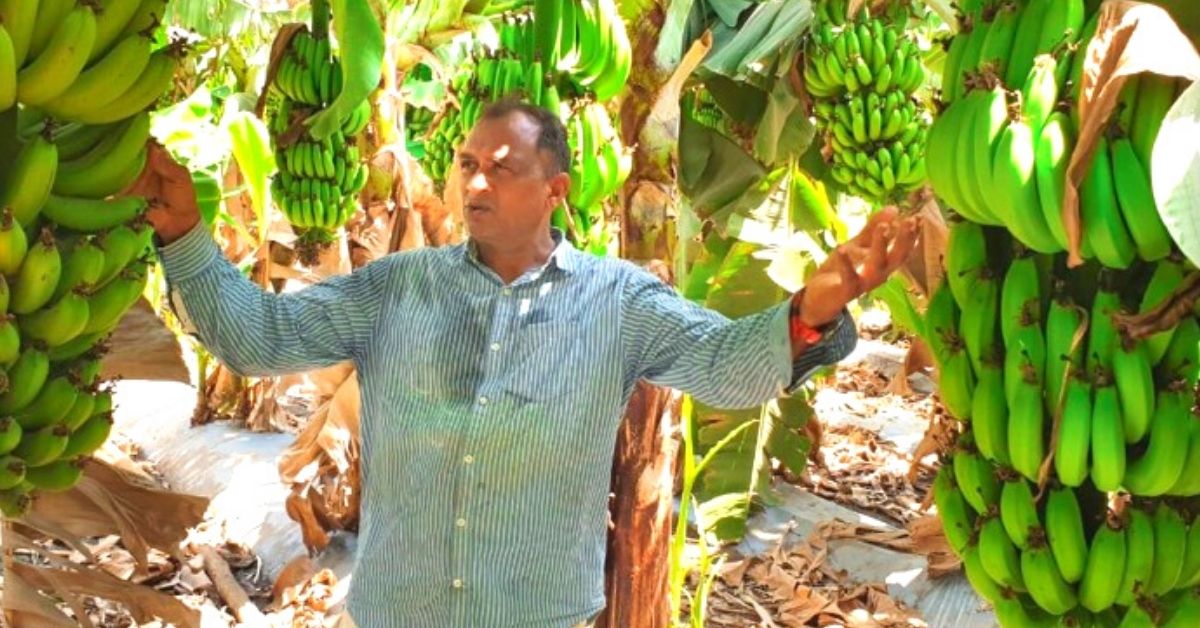 Farmer’s Unique Marketing Idea Attracts People from 32 Countries, Helps Him Earn in Crores