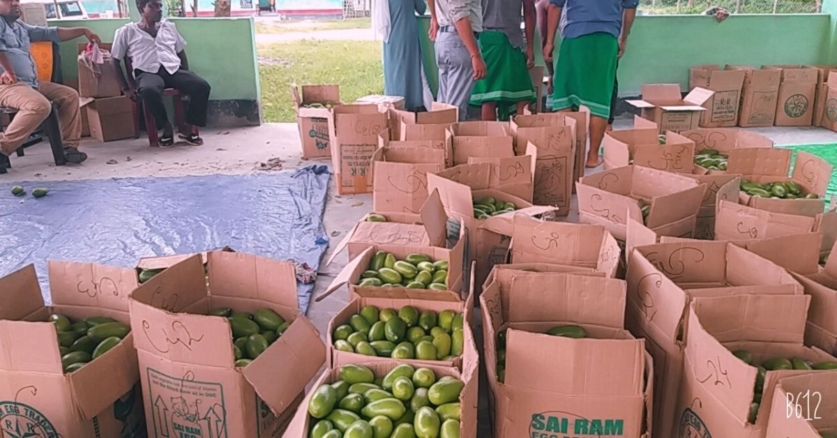 Assam farmers pack lemon for exports