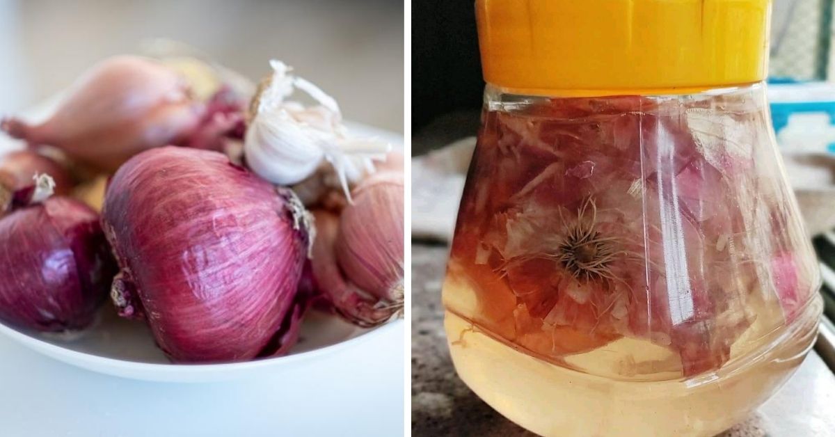 onion peel fertiliser garden tips