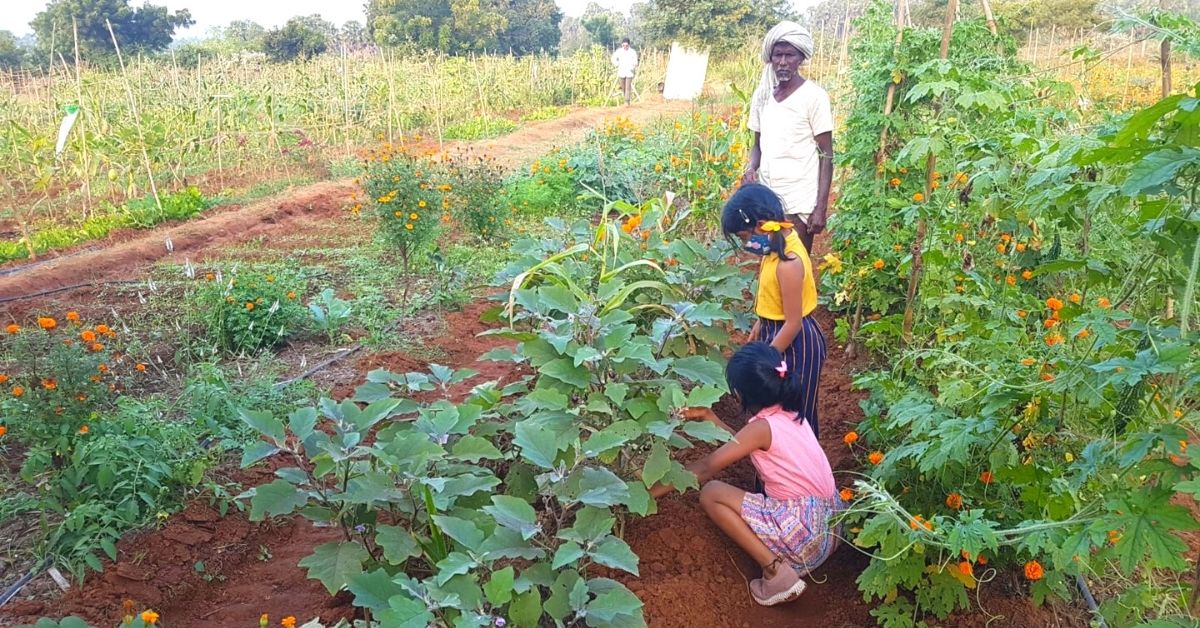 Customers can visit the farm and learn all about how to grow vegetables