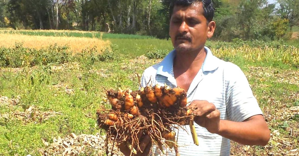 Couple Start Turmeric Revolution in Drought-Prone Area, Stop Suicides & Child Labour