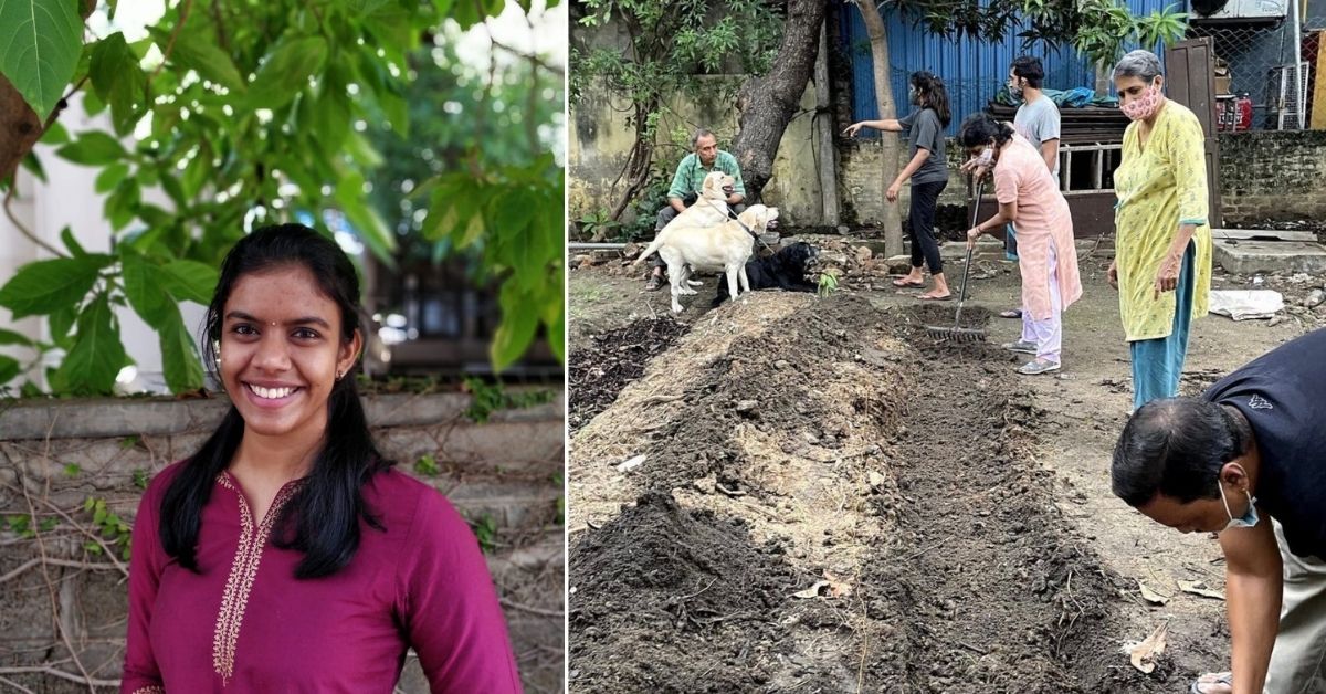 ‘I Started a Community Garden in Chennai to Grow Vegetables & Fruits Organically’