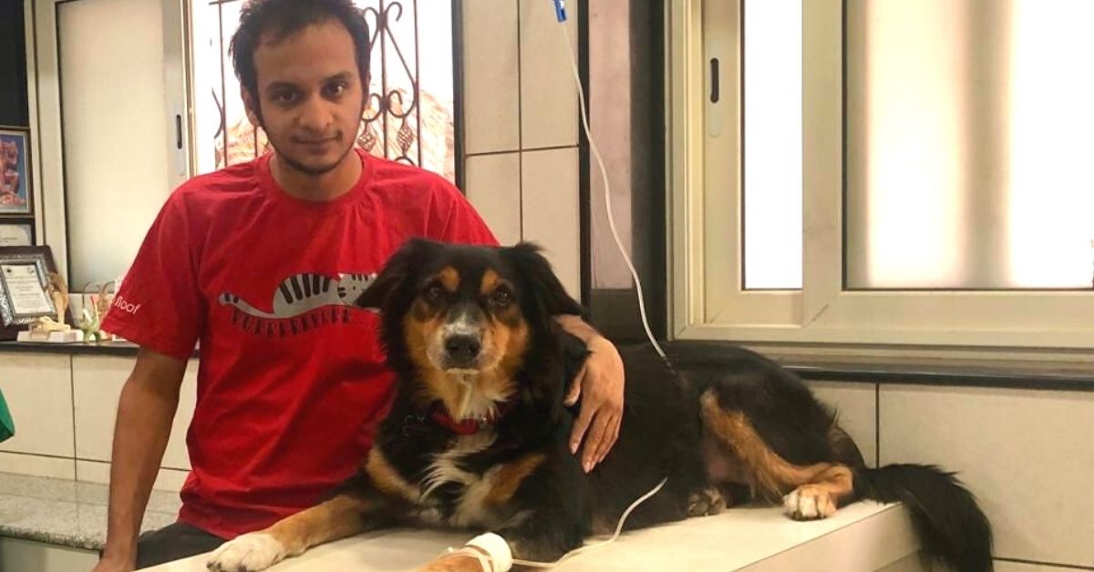 Adoption d'animaux : Kapil avec un chien sauvé