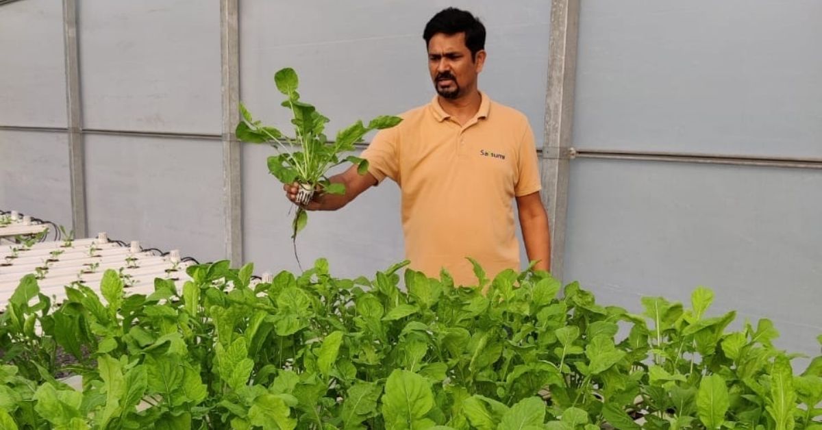 Want To Start a Hydroponics Business? Expert Shares 5 Tips To Ensure Success