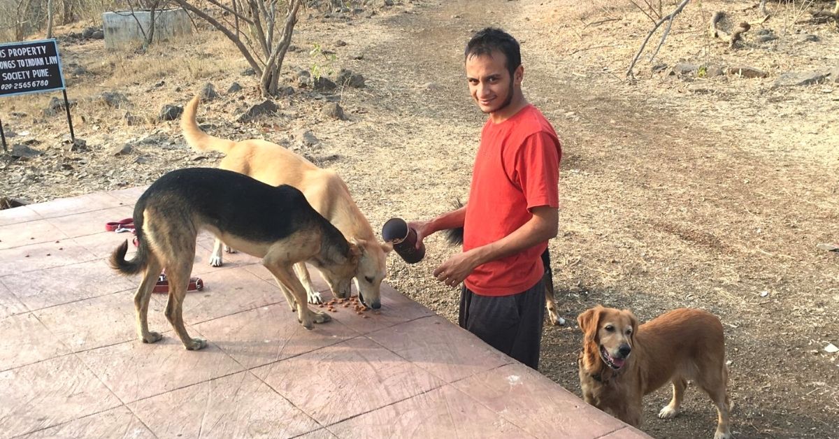 Adoption d'animaux : Kapil nourrit des chiens en liberté.