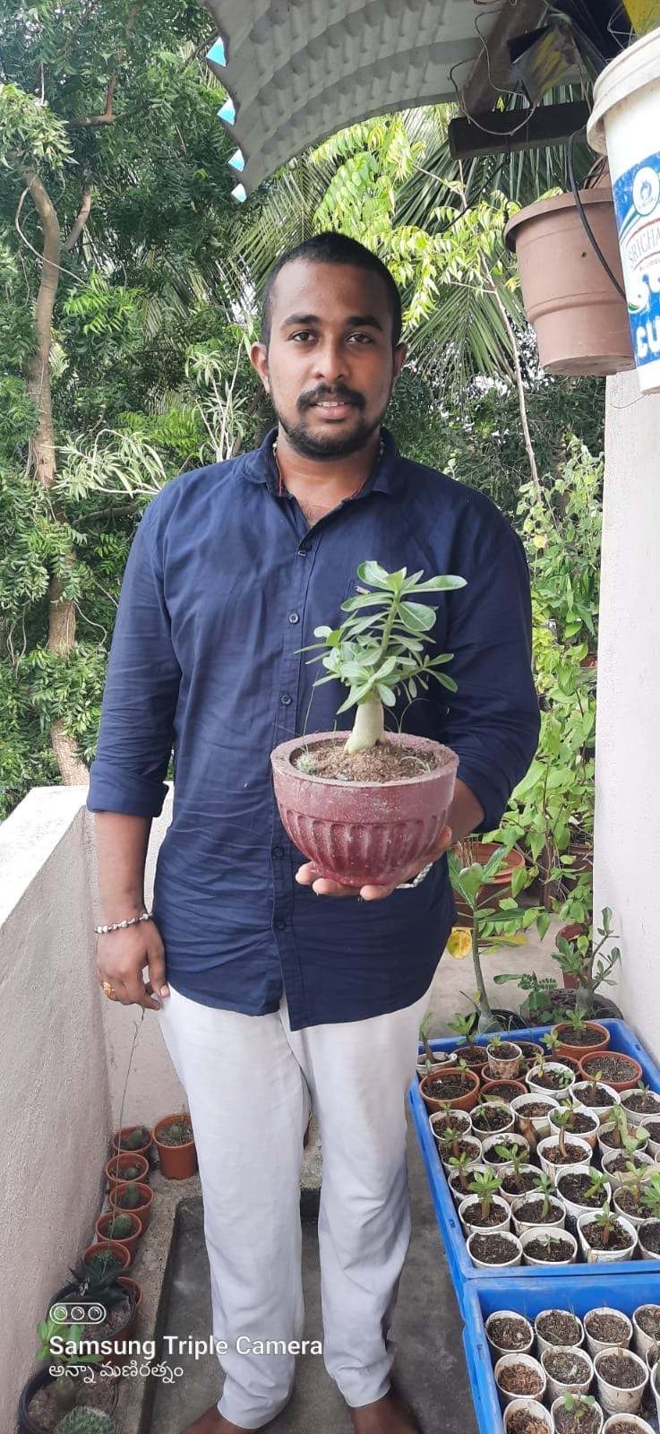 plants at home - Anna Mani Ratnam with bonsai plant