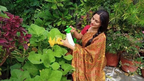 Terrace Garden Delhi