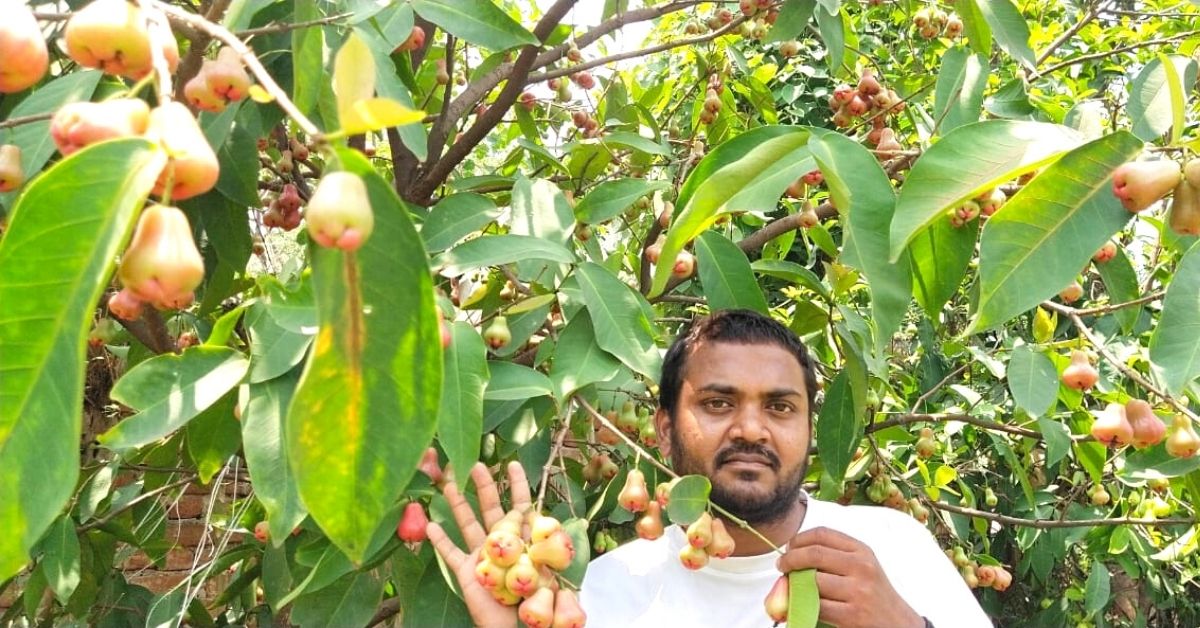 Seeing Farmers Suffer, Engineer Quits Job to Help 400 of Them Turn Organic