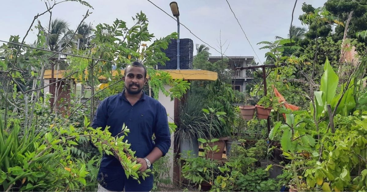 Spending Just Rs 500/Month, I Grow 100+ Plants at Home. Here’s How