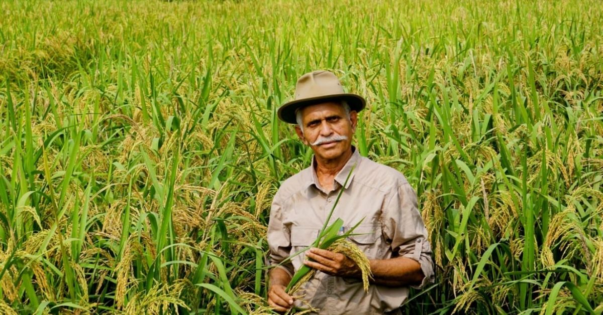 71-YO Farmer’s Unique Technique Helps 4,000 Others Earn Profits Without Tilling