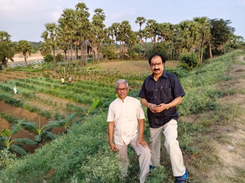  innovation farmer turn alkaline land cultivable 