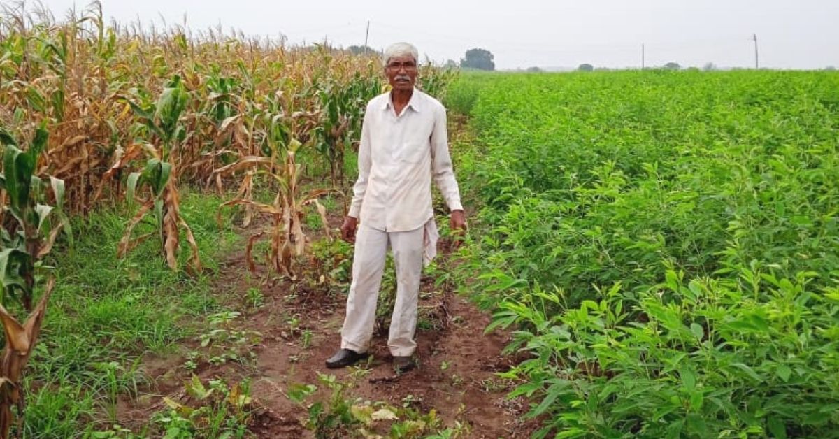 First in Village To Go Organic, 70-Y0 Farmer Helps 1000 Others Follow Suit