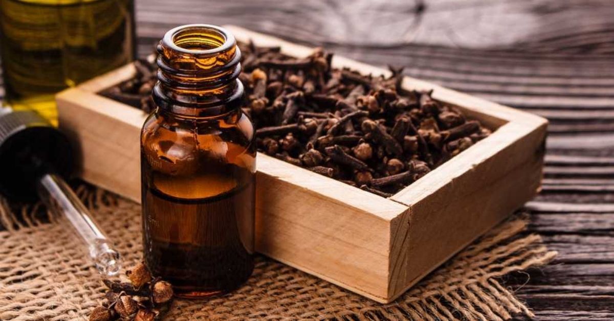 Grandma Was Right! Science Says Clove Oil Is a Great Painkiller & Antimicrobial