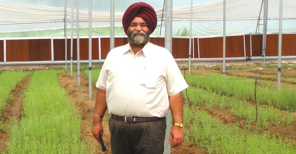 I-T Consultant Helps 500 Farmers Increase Income By 4 Times Through Stevia