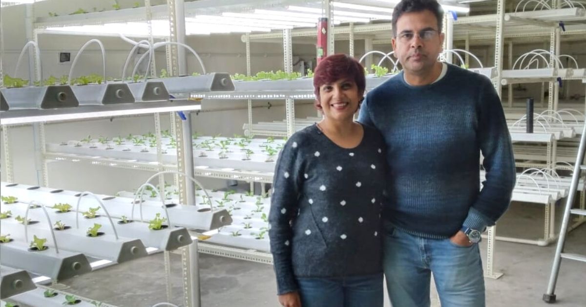 College Reunion Inspires Farming Startup, Duo Grow 70kg Soilless Veggies Per Month