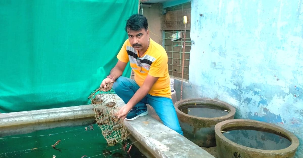 Bookseller Learns Pearl Farming From YouTube, Doubles His Income to Rs 7 Lakh