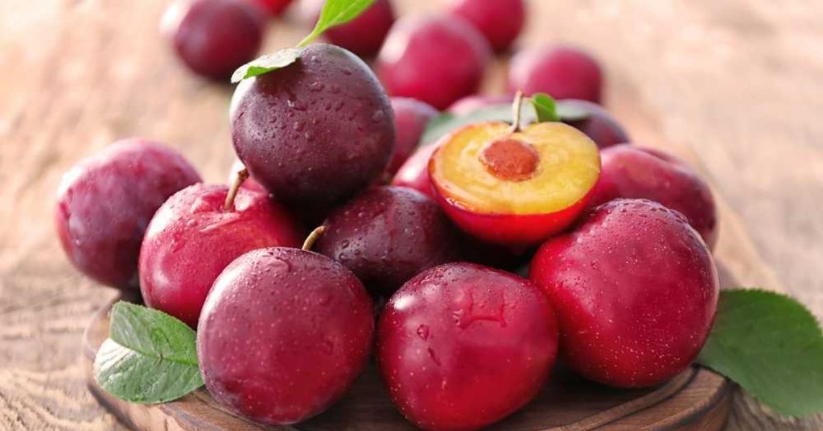 Health Benefits of Plum