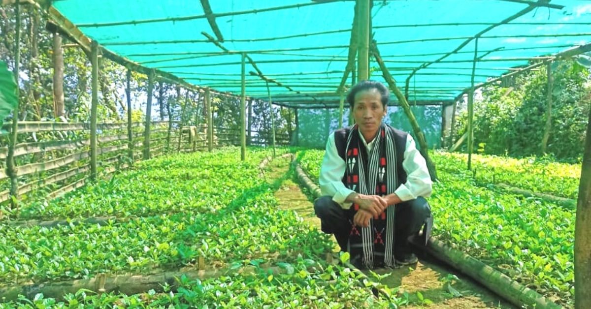 His 30-Yr Effort To Grow Non-Native Fruits Has Helped 1000s Earn More The Same Way