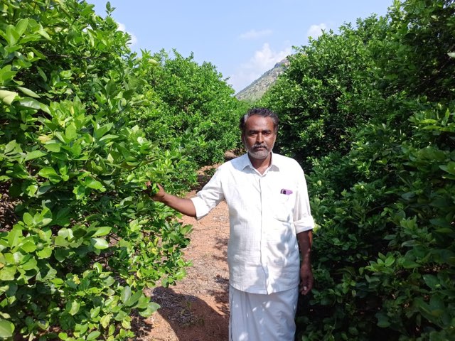 Andhra Pradesh Organic Farmer Earns Lakhs