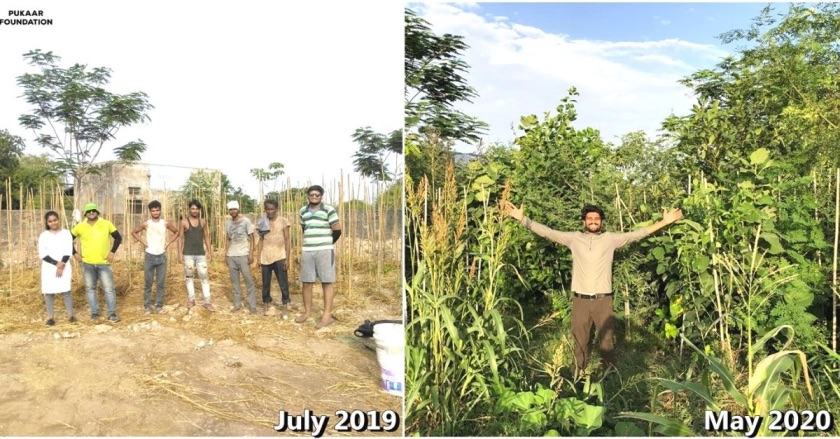 Pukaar foundation Miyawaki forest success environment tree plantation