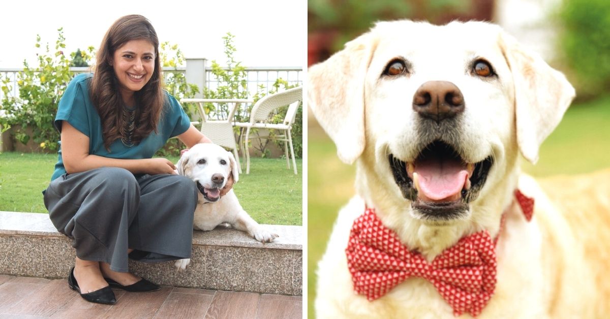 Despite 200 Rejections, Entrepreneur Powers Her Pet Products to Rs 50 Crore Bonanza